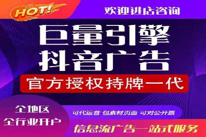 竞价广告的投放技巧与网络推广的实践